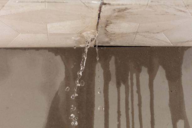 Professional Structural Drying technician working in Locust Valley, NY